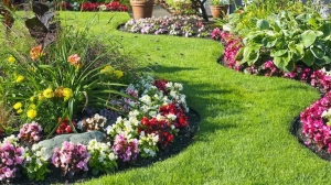 Combining Circle Garden Edging with Plant Selection: A Guide to Enhancing Your Outdoor Space Combining Circle Garden Edging with Plant Selection: A Guide to Enhancing Your Outdoor Space